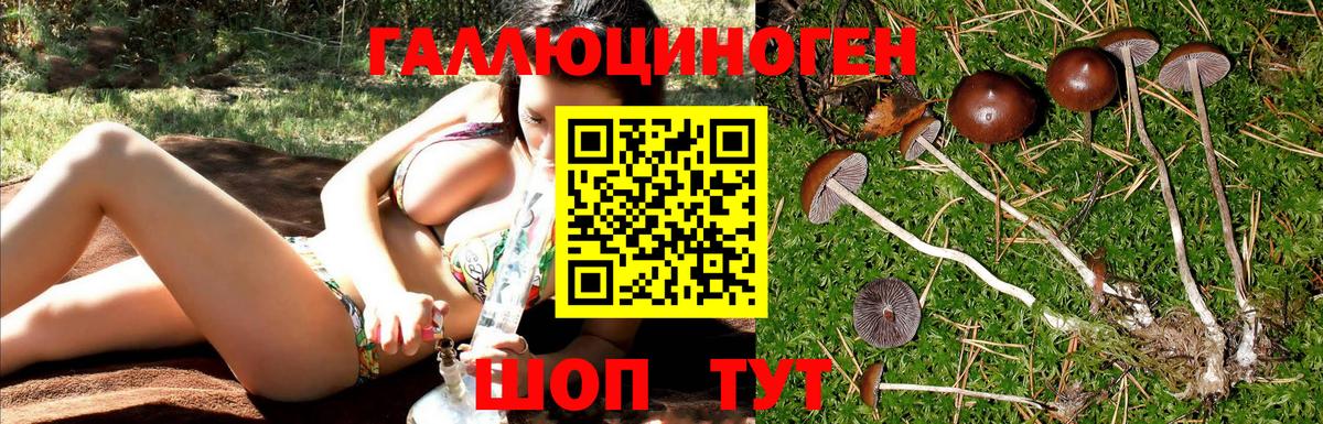 Псилоцибиновые грибы GOLDEN TEACHER Домодедово